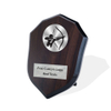 Noble Manufacturer Wholesale UK Gift Personalized Sports Soccer Trophy Award Wood Shield Plaque