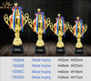 Different Sizes Available Custom Metal Sports Champion Trophy