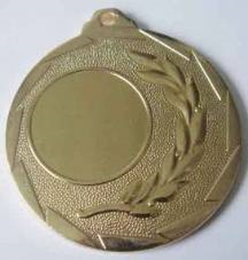 Wholesale Cheap Gold Silver Bronze Metal Business Gift Karate Trophy Award Sports Blank Medal
