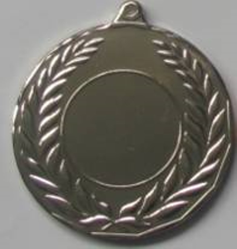 Wholesale Cheap Gold Silver Bronze Metal Business Gift Karate Trophy Award Sports Blank Medal