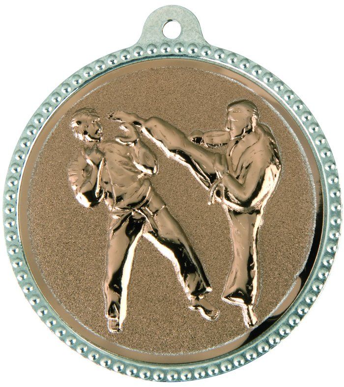 Wholesale Cheap Gold Silver Bronze Metal Business Gift Karate Trophy Award Sports Blank Medal