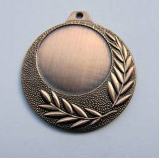 Wholesale Cheap Gold Silver Bronze Metal Business Gift Karate Trophy Award Sports Blank Medal