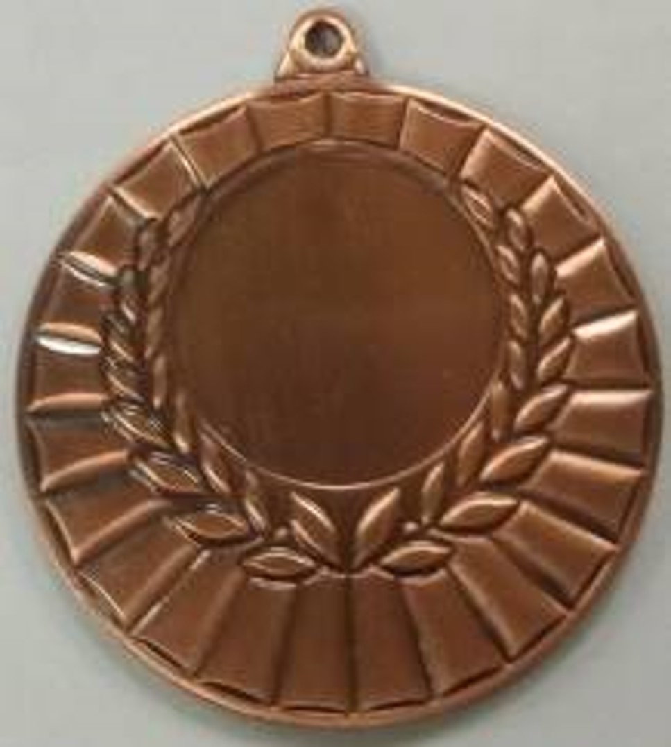 Wholesale Cheap Gold Silver Bronze Metal Business Gift Karate Trophy Award Sports Blank Medal