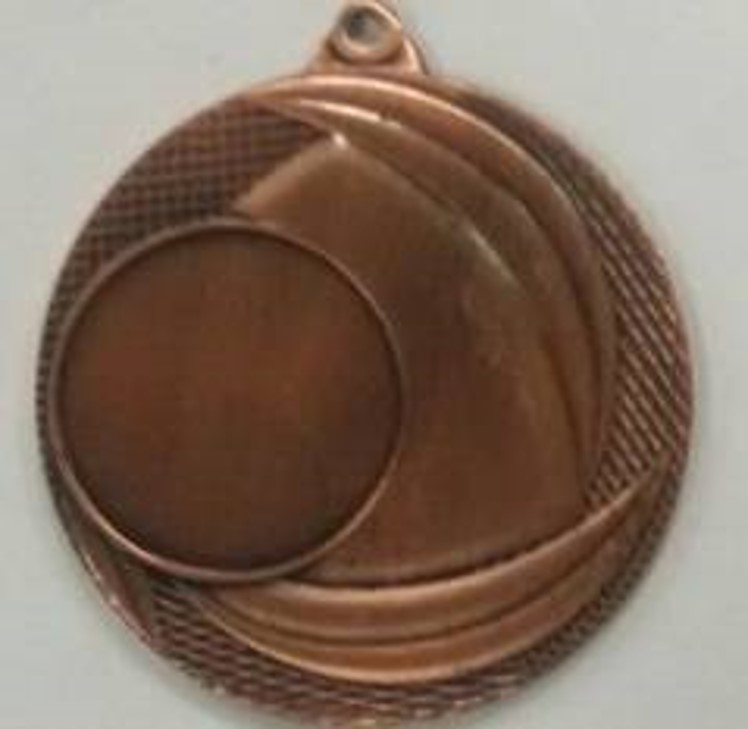 Wholesale Cheap Gold Silver Bronze Metal Business Gift Karate Trophy Award Sports Blank Medal