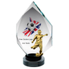 Noble Manufacturer Wholesale Crystal Glass Plaque With Custom Logo UK Gift Sport Soccer Trophy Award Hand Craft