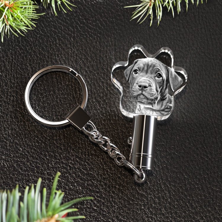 Noble Crystal Cat Paw With 3D Laser Engraving Picture Inside Cat Paw Pet Gift LED Key Chain