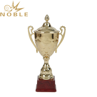 Beautiful Design Metal Cup Quiz Champion Trophy for Students
