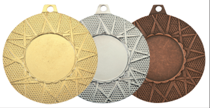 Wholesale Cheap Gold Silver Bronze Metal Business Gift Karate Trophy Award Sports Blank Medal
