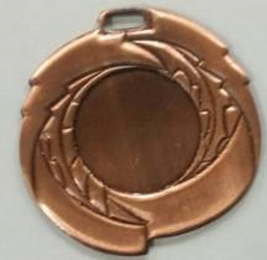 Wholesale Cheap Gold Silver Bronze Metal Business Gift Karate Trophy Award Sports Blank Medal