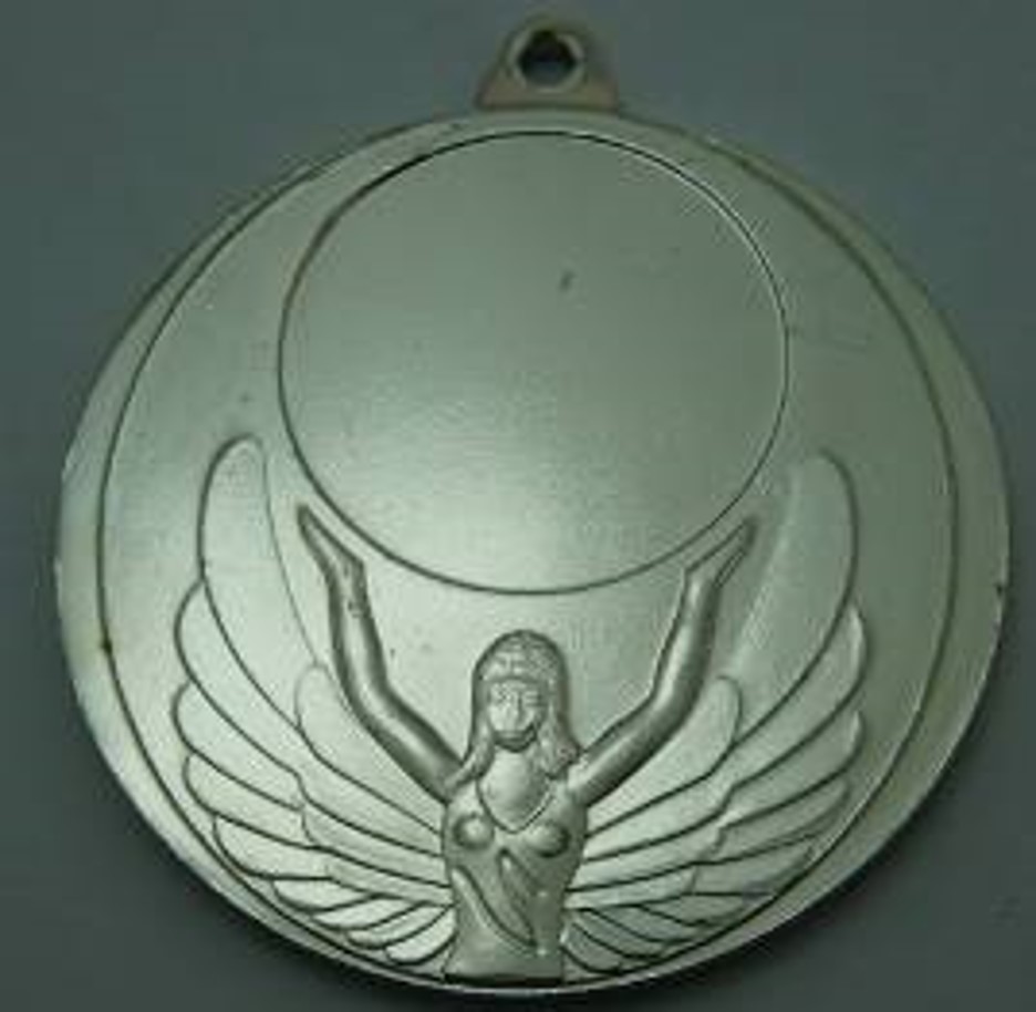 Wholesale Cheap Gold Silver Bronze Metal Business Gift Karate Trophy Award Sports Blank Medal
