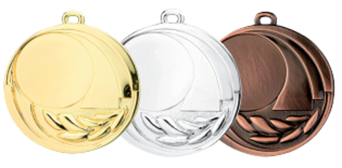 Wholesale Cheap Gold Silver Bronze Metal Business Gift Karate Trophy Award Sports Blank Medal