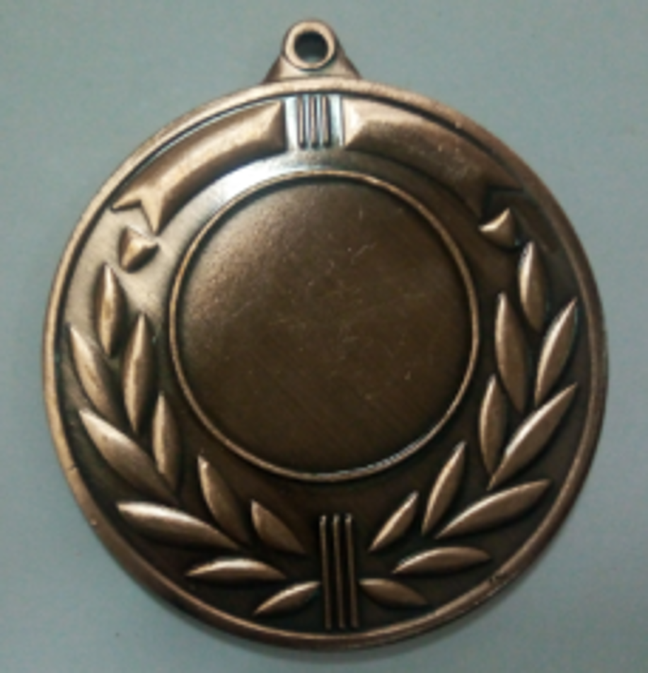 Wholesale Cheap Gold Silver Bronze Metal Business Gift Karate Trophy Award Sports Blank Medal