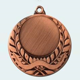 Wholesale Cheap Gold Silver Bronze Metal Business Gift Karate Trophy Award Sports Blank Medal