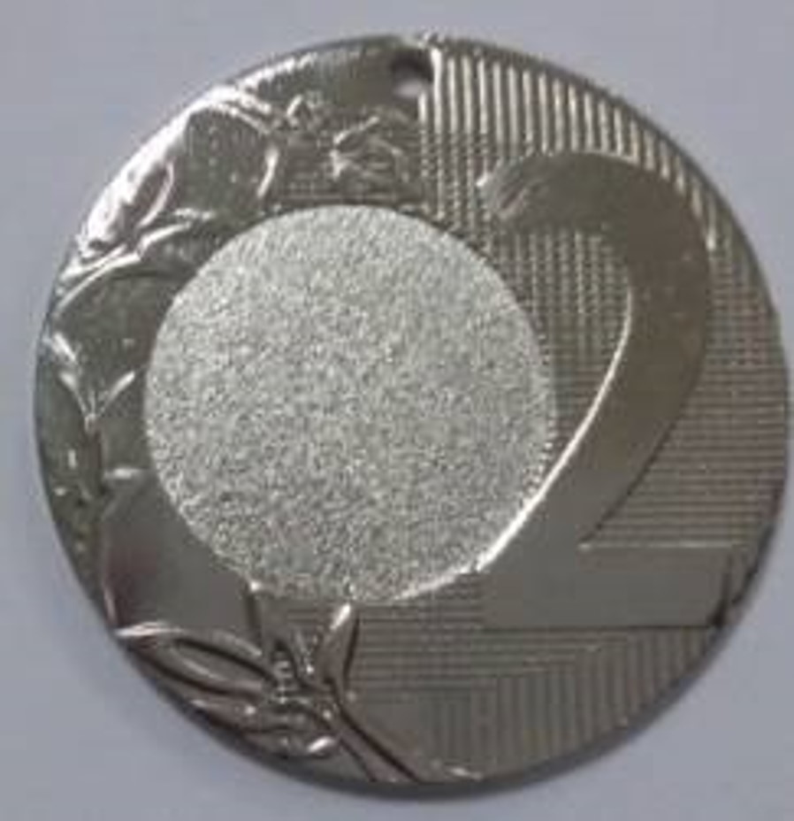 Wholesale Cheap Gold Silver Bronze Metal Business Gift Karate Trophy Award Sports Blank Medal