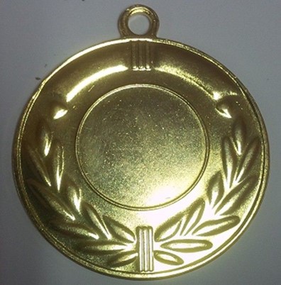 Wholesale Cheap Gold Silver Bronze Metal Business Gift Karate Trophy Award Sports Blank Medal