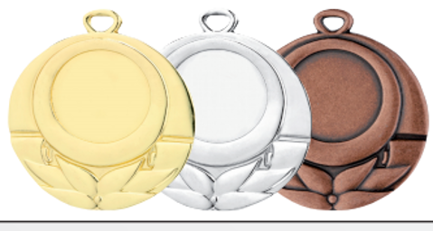 Wholesale Cheap Gold Silver Bronze Metal Business Gift Karate Trophy Award Sports Blank Medal