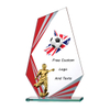 Noble Manufacturer Wholesale Glass Plaque With Custom Printing Logo UK Gift Personalized Sports Soccer Trophy Award Hand Crafts