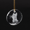 Noble Manufacturer Wholesale UK Gift Personalized Pet Crystal Glass Souvenir Plaque Hanger