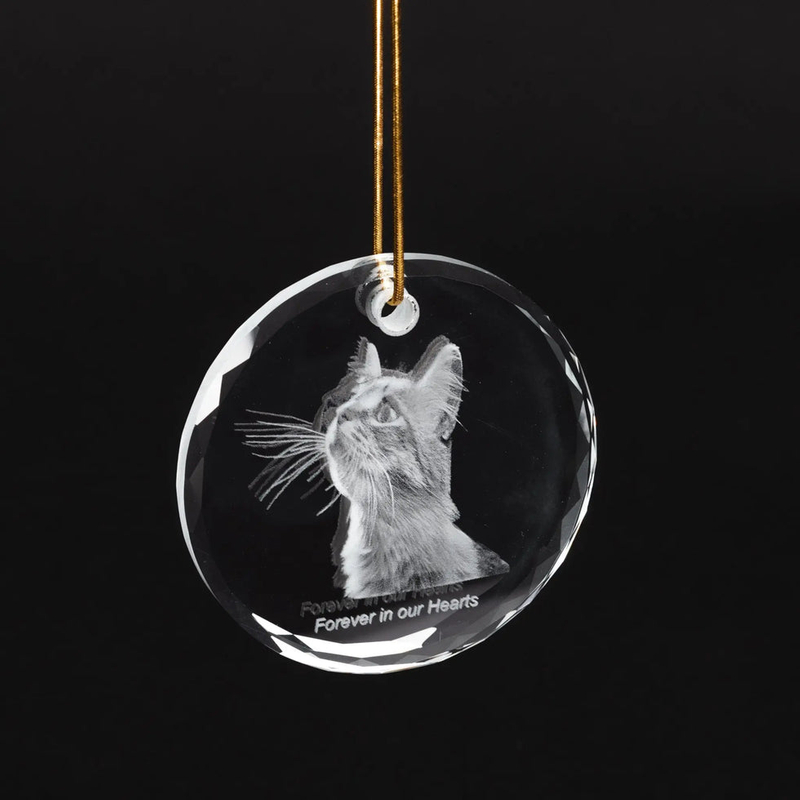 Noble Manufacturer Wholesale UK Gift Personalized Pet Crystal Glass Souvenir Plaque Hanger