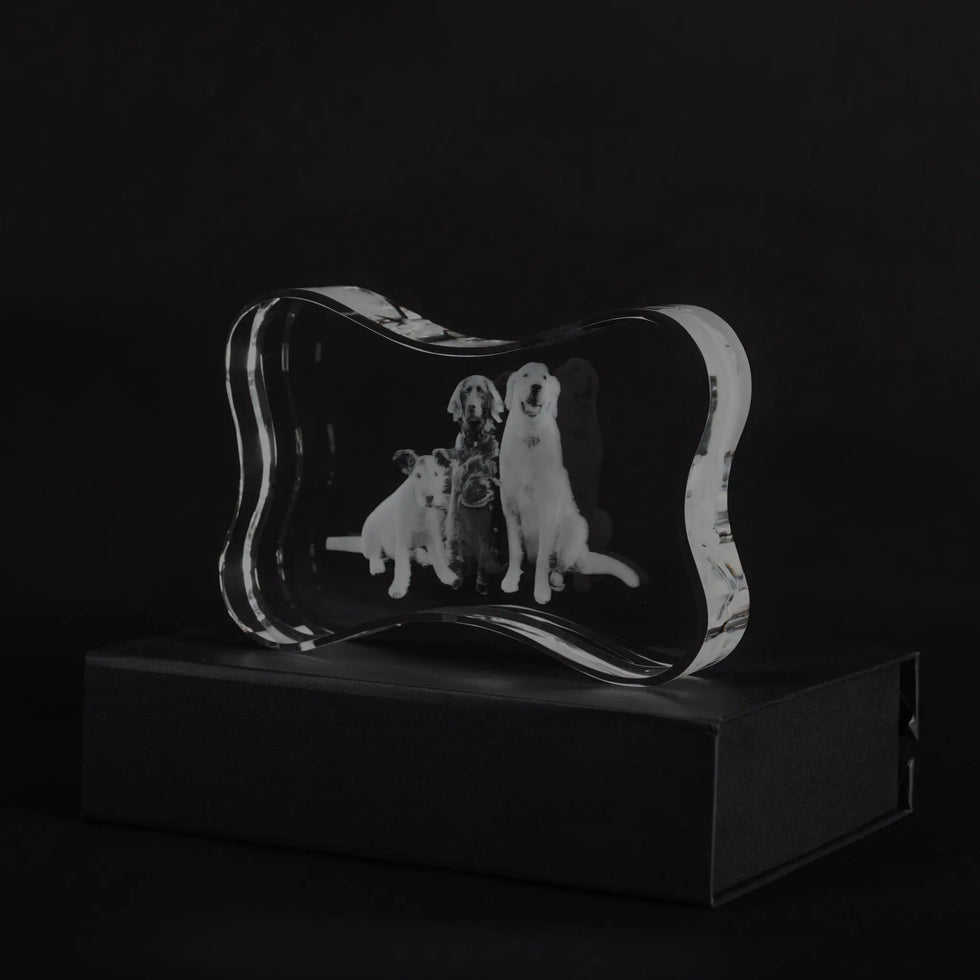 Noble Manufacturer Wholesale UK Gift Personalized Pet Crystal Glass Dog Souvenir Plaque Hanger