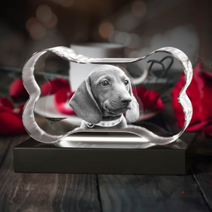 Noble Crystal Bone With 3D Laser Engraving Picture Inside Dog Pet Gift Paperweight