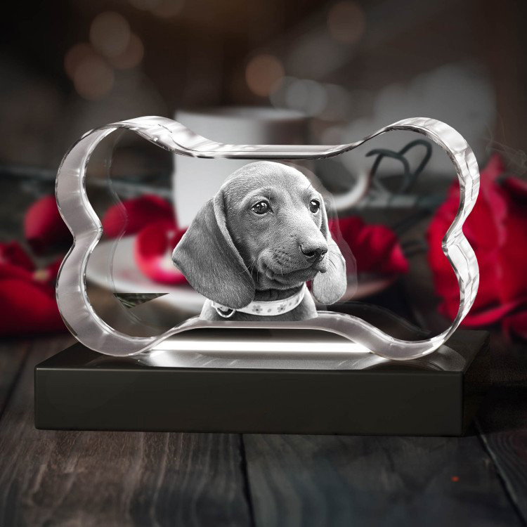 Noble Crystal Bone With 3D Laser Engraving Picture Inside Dog Pet Gift Paperweight