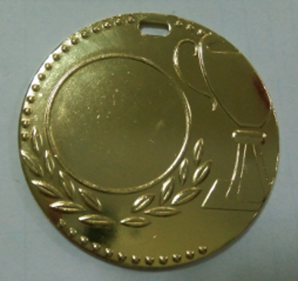 Wholesale Cheap Gold Silver Bronze Metal Business Gift Karate Trophy Award Sports Blank Medal