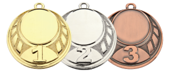 Wholesale Cheap Gold Silver Bronze Metal Business Gift Karate Trophy Award Sports Blank Medal