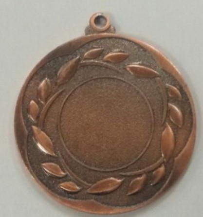 Wholesale Cheap Gold Silver Bronze Metal Business Gift Karate Trophy Award Sports Blank Medal