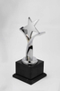 Noble Crystal Base with Gold Silver Bronze Metal Star Business Gift Customized Bespoke Logo Office Decoration Trophy Award