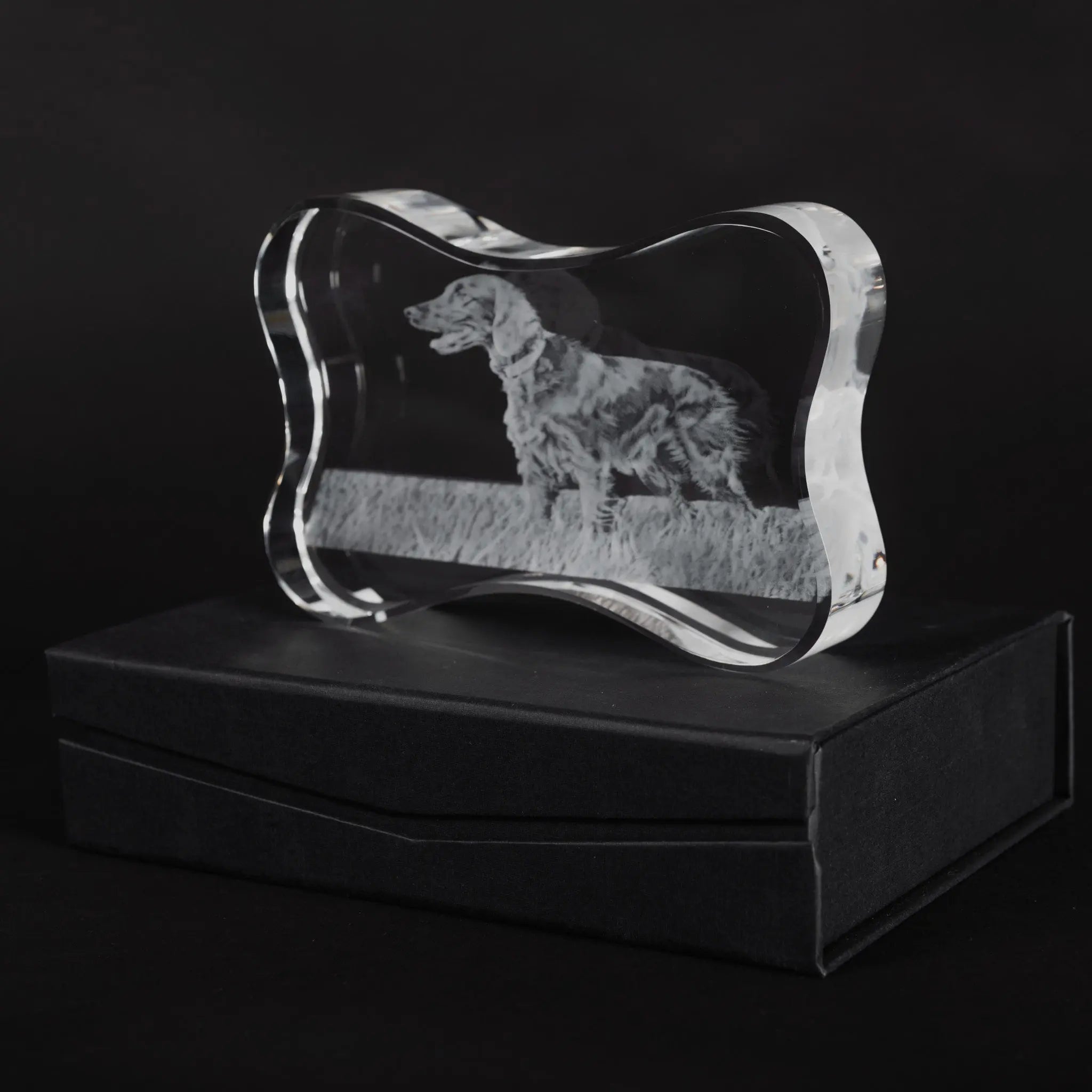 Noble Manufacturer Wholesale UK Gift Personalized Pet Crystal Glass Dog Souvenir Plaque Hanger