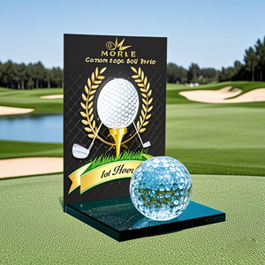 Noble High Quality K9 Crystal With 3D Laser Business Gift Sports Awards Custom Bespoke Logo Golf A Hole in One Trophy Hand Craft