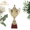 Beautiful Design Metal Cup Quiz Champion Trophy for Students