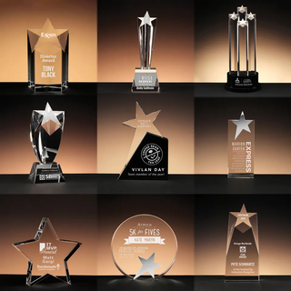 Hot Selling Popular Star Award Custom Crystal Achievement Star Awards