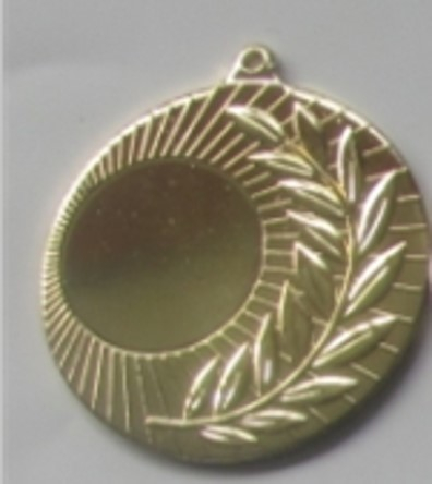 Wholesale Cheap Gold Silver Bronze Metal Business Gift Karate Trophy Award Sports Blank Medal
