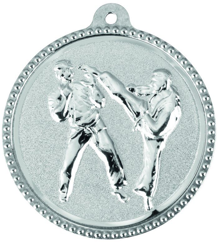 Wholesale Cheap Gold Silver Bronze Metal Business Gift Karate Trophy Award Sports Blank Medal