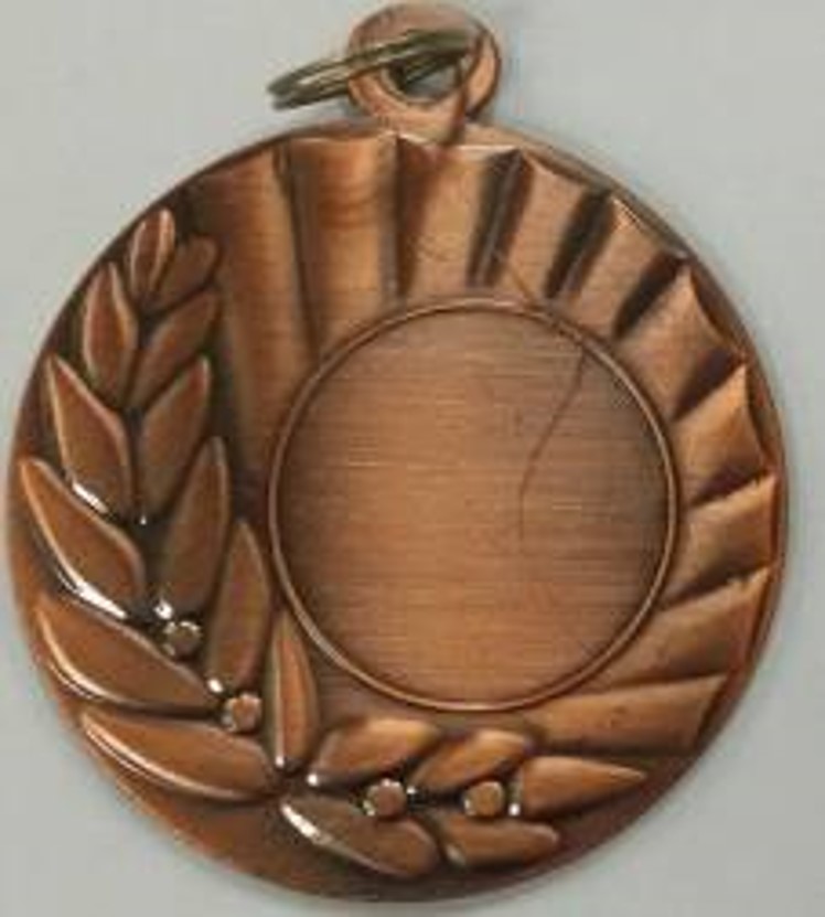 Wholesale Cheap Gold Silver Bronze Metal Business Gift Karate Trophy Award Sports Blank Medal