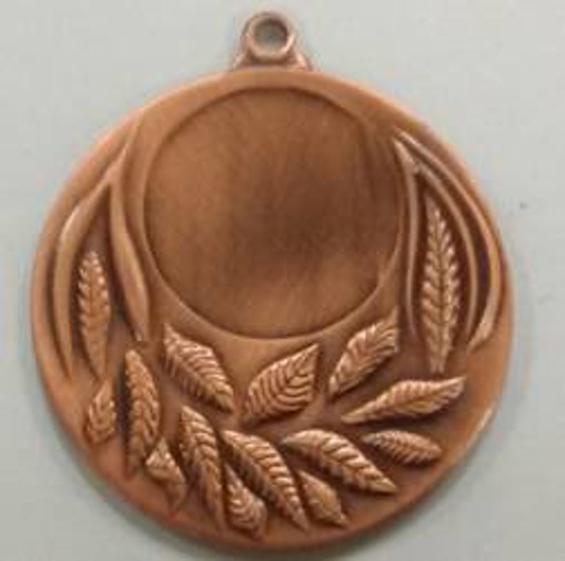 Wholesale Cheap Gold Silver Bronze Metal Business Gift Karate Trophy Award Sports Blank Medal