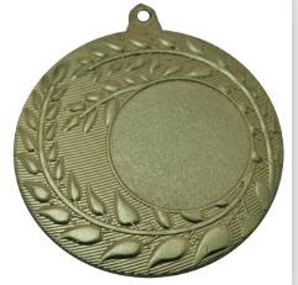 Wholesale Cheap Gold Silver Bronze Metal Business Gift Karate Trophy Award Sports Blank Medal