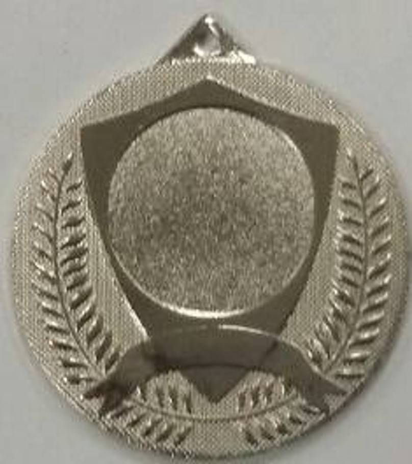 Wholesale Cheap Gold Silver Bronze Metal Business Gift Karate Trophy Award Sports Blank Medal