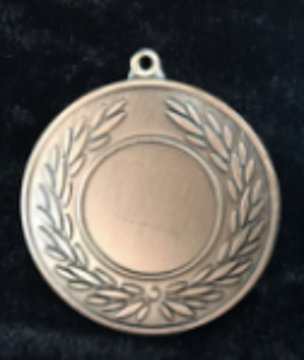 Wholesale Cheap Gold Silver Bronze Metal Business Gift Karate Trophy Award Sports Blank Medal
