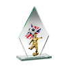 Noble Manufacturer Wholesale Cheap Glass Plaque With Custom Printing Logo UK Gift Personalized Hand Crafts Soccer Trophy Award