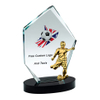 Noble Manufacturer Wholesale Crystal Glass Plaque With Custom Logo UK Gift Sport Soccer Trophy Award Hand Craft