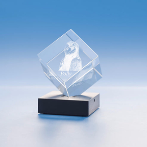 Noble Crystal Cube With 3D Laser Engraving Picture Inside Pet Gift