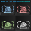 Noble Crystal Bone With 3D Laser Engraving Picture Inside Dog Pet Gift Paperweight