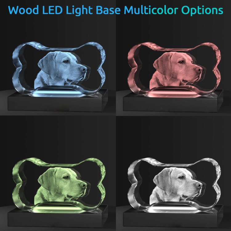 Noble Crystal Bone With 3D Laser Engraving Picture Inside Dog Pet Gift Paperweight