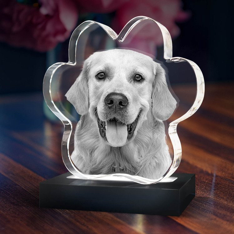 Noble Crystal Cat Paw With 3D Laser Engraving Picture Inside Cat Paw Pet Gift Paperweight