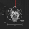 Noble Crystal Cat Paw With 3D Laser Engraving Picture Inside Pet Cat Gift Key Chain