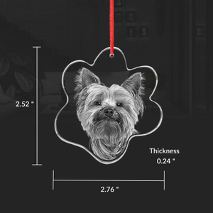 Noble Crystal Cat Paw With 3D Laser Engraving Picture Inside Pet Cat Gift Key Chain