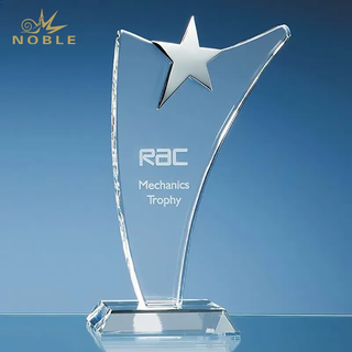 Optical Crystal Swoop Award with Silver Star